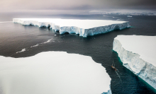 Icebergs near Antarctica