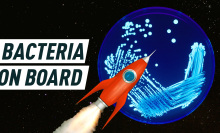 An illustration of a rocket seems to float towards a planet-like sphere that is actually a microscopic image of bacteria. Caption reads: "Bacteria on board".