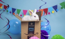 bunny in an amazon prime box in front of a balloons and confetti