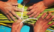 Three pairs of hands grasp onto a bundle of green plant stalks resting on a turquoise table.