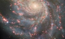 A supernova explosion spotted in the Pinwheel galaxy.