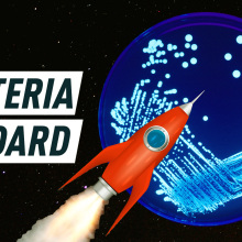 An illustration of a rocket seems to float towards a planet-like sphere that is actually a microscopic image of bacteria. Caption reads: "Bacteria on board".