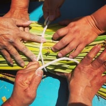 Three pairs of hands grasp onto a bundle of green plant stalks resting on a turquoise table.