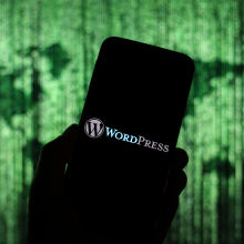 WordPress security flaw