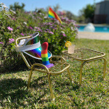 rainbow dildo set on small lounge chair by a pool surrounded by greenery