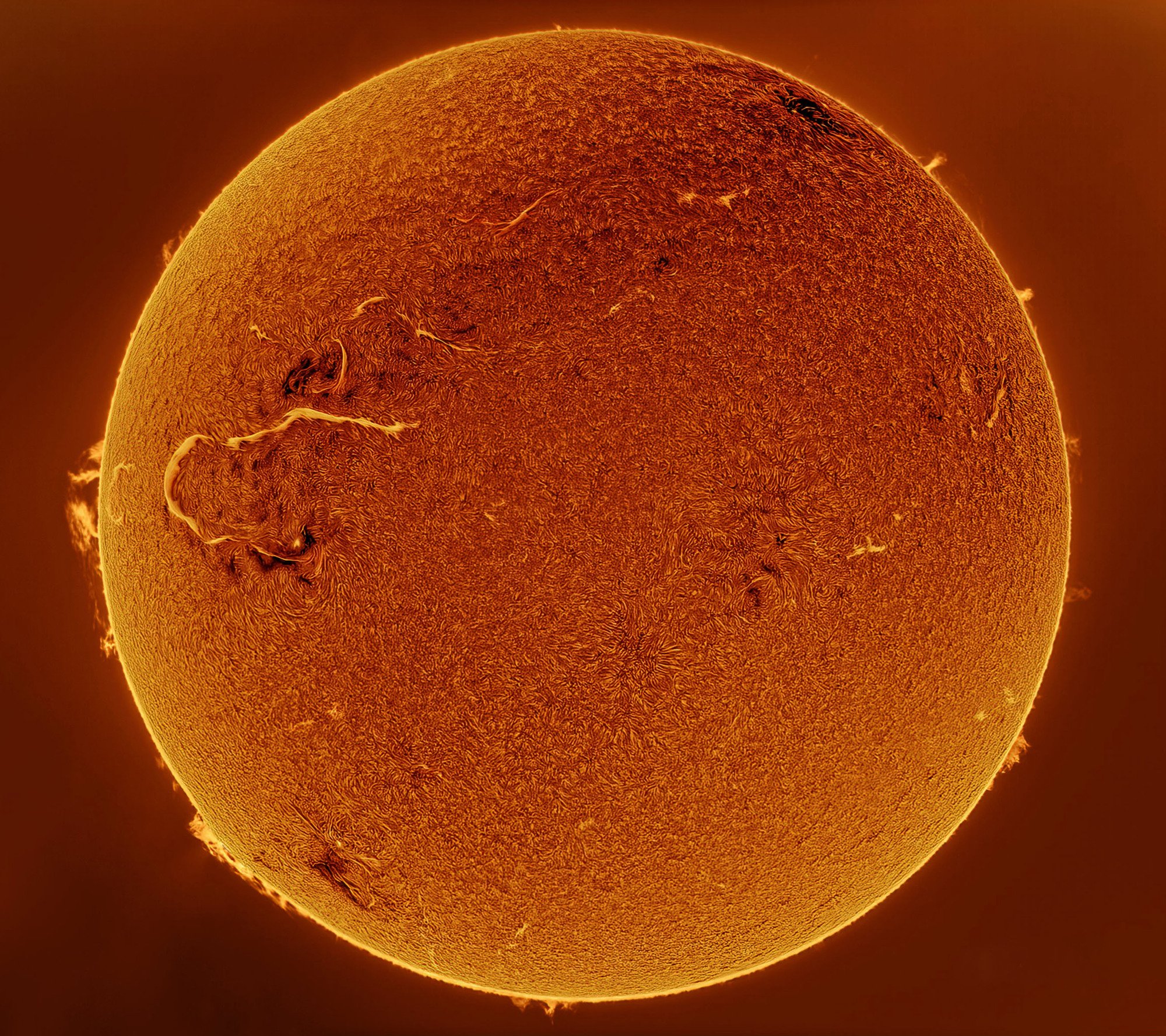 An image of the sun.