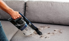 Shark vacuum picking up debris on a sofa