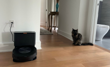 Roomba and charging dock on hardwood floor with cat in hallway in the background