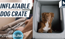 Inflatable Dog Crate