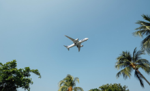 plane flying over palm trees
