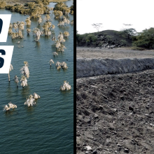 A flooded Lake Turkana in Kenya side by side with a sand dam built by UNICEF.