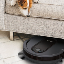 robot vacuum on floor, dog on couch staring at robot vacuum