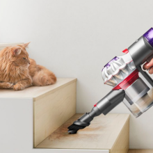 Cat looking at a hand use a Dyson V7 vacuum cleaning up some stairs