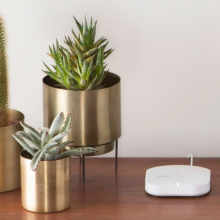 three succulents with a white wifi router to the right on a wooden surface