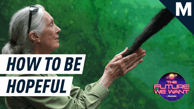 Jane Goodall’s golden rule about how to change the world