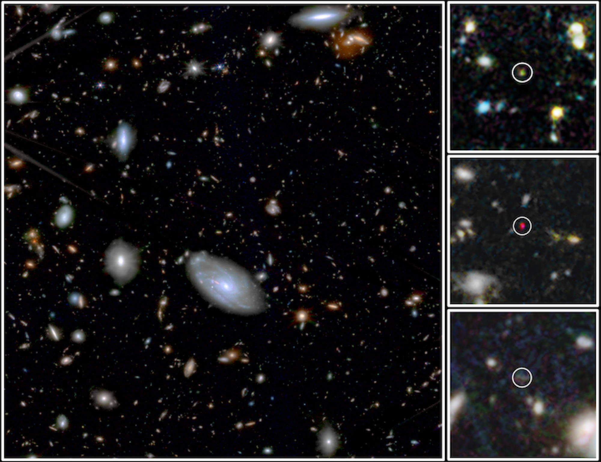 Ancient galaxies captured by the James Webb Space Telescope's MIRI Deep Imaging Survey.
