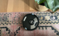 Shark robot vacuum cleaning patterned rug with plant in corner